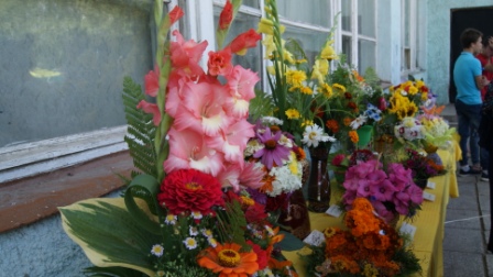 DSC02008.JPG